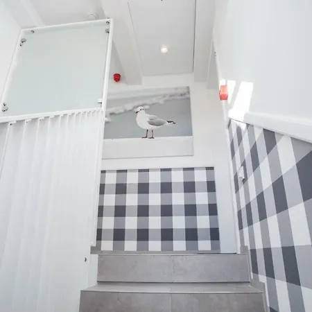 C4 Ceynowy סופוט